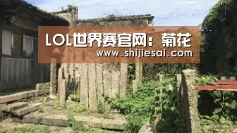 全球总决赛官网